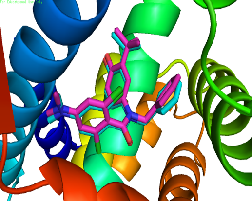 Visualização e manipulação interativa da estrutura 3D de proteínas