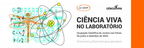 A natureza criativa A natureza criativa