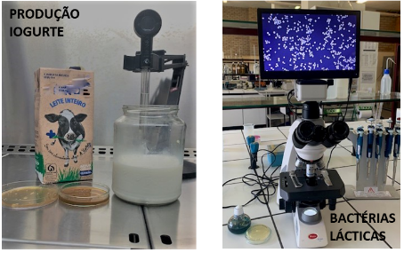 “Do Leite ao Iogurte: Explorando a Magia da Fermentação na Ciência dos Alimentos”