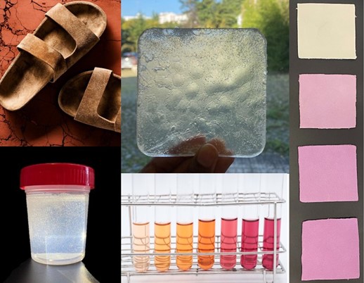 O projeto BioShoes4All - Capacita&ccedil;&atilde;o da ind&uacute;stria do cal&ccedil;ado atrav&eacute;s de materiais e processos sustent&aacute;veis